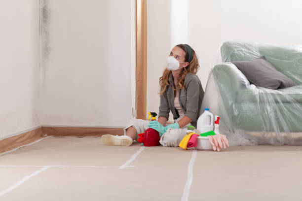 Reliable Commercial Mold Remediation contractor in South Fork, PA by WQB Mold Removal