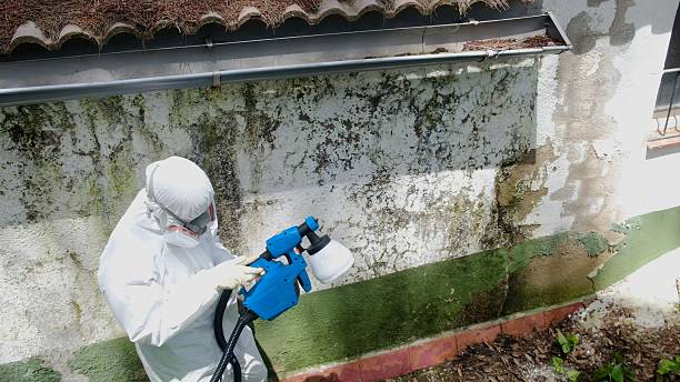 Top rated local Commercial Mold Remediation specialists in South Fork, PA